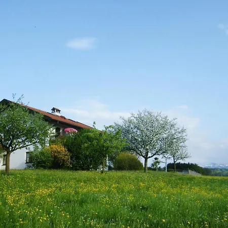 Pichler Roswitha Apartment